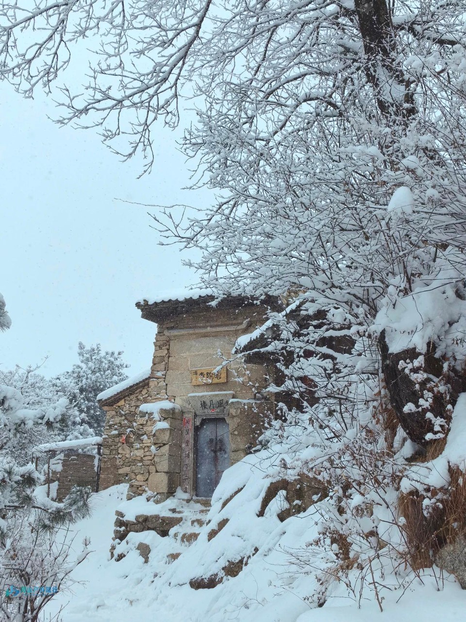 微信图片_20240314234245