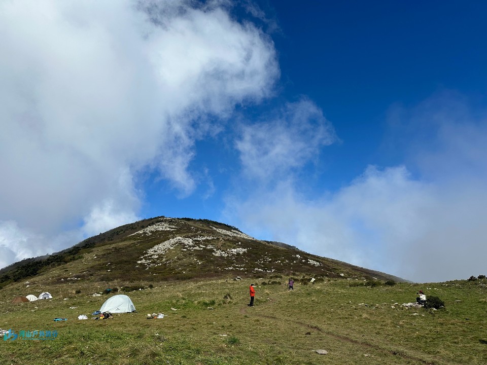 mmexport1727799509454