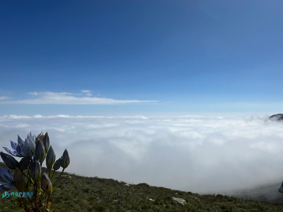 mmexport1727799546706