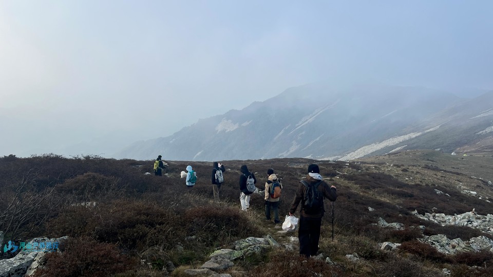 mmexport1728485157064