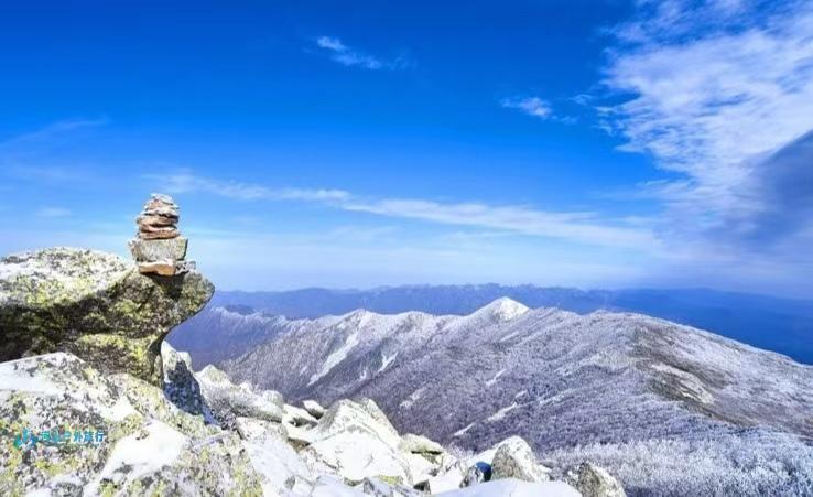 微信图片_20241121223757