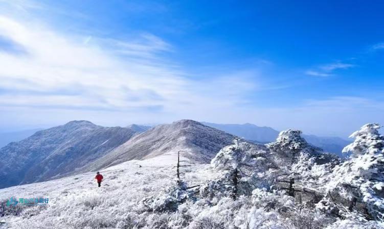 微信图片_20241121223824