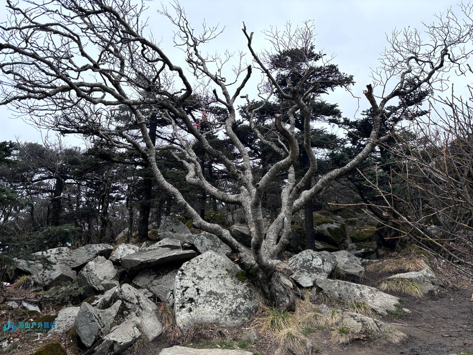 mmexport1731249067913