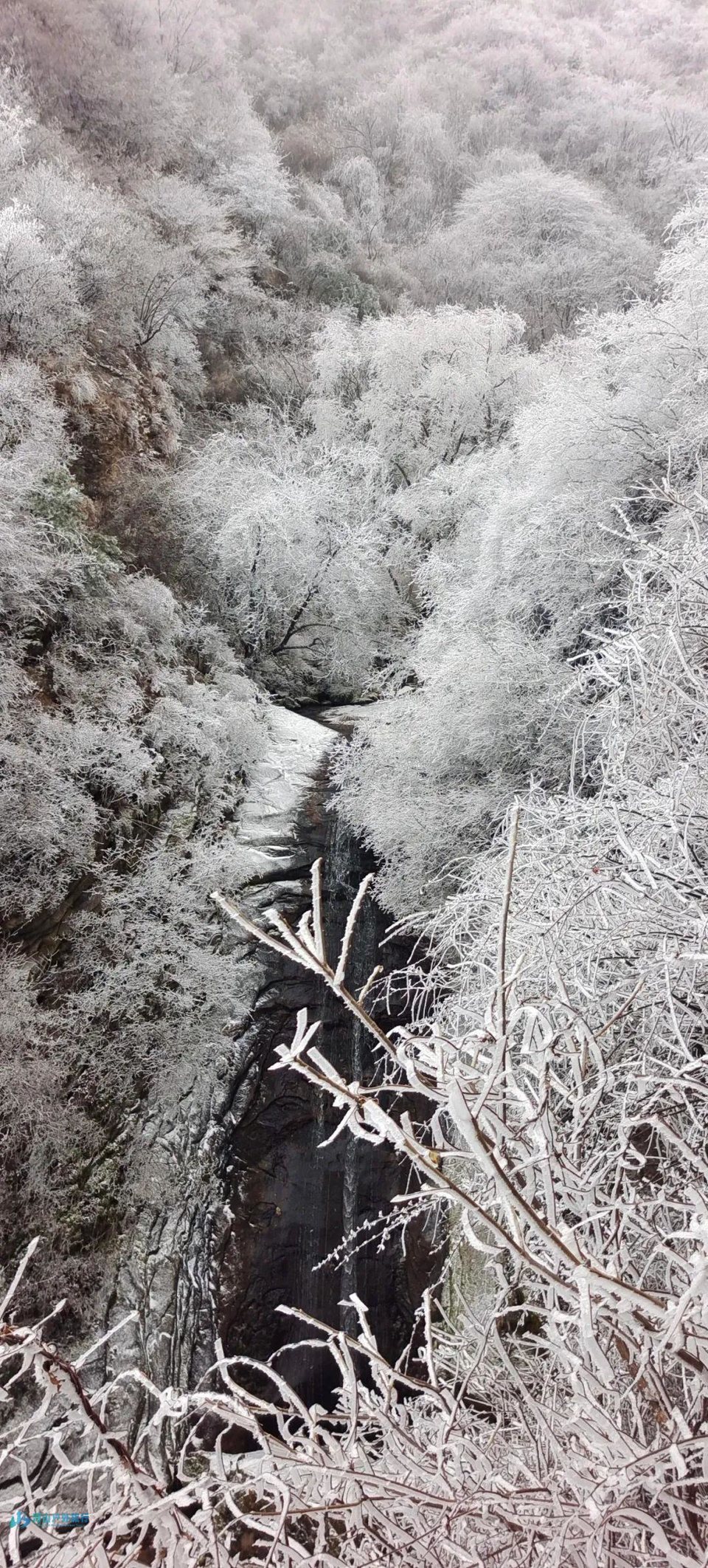 微信图片_20240314235904