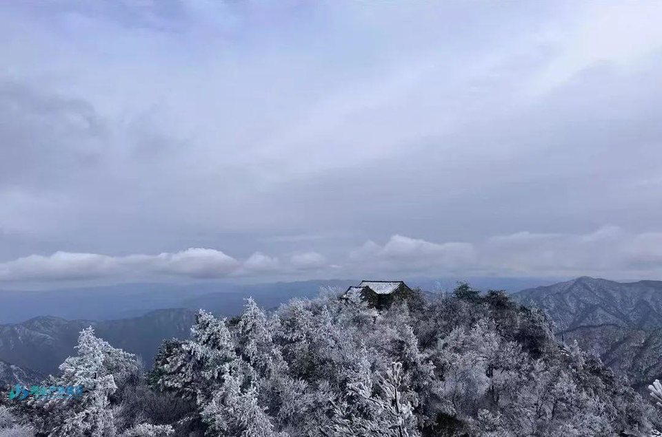 微信图片_20240314235921