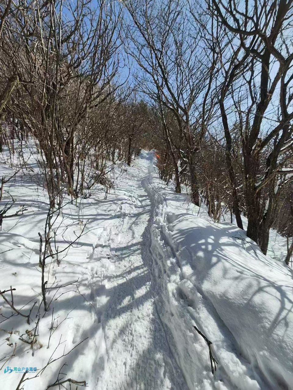 微信图片_20250113141411