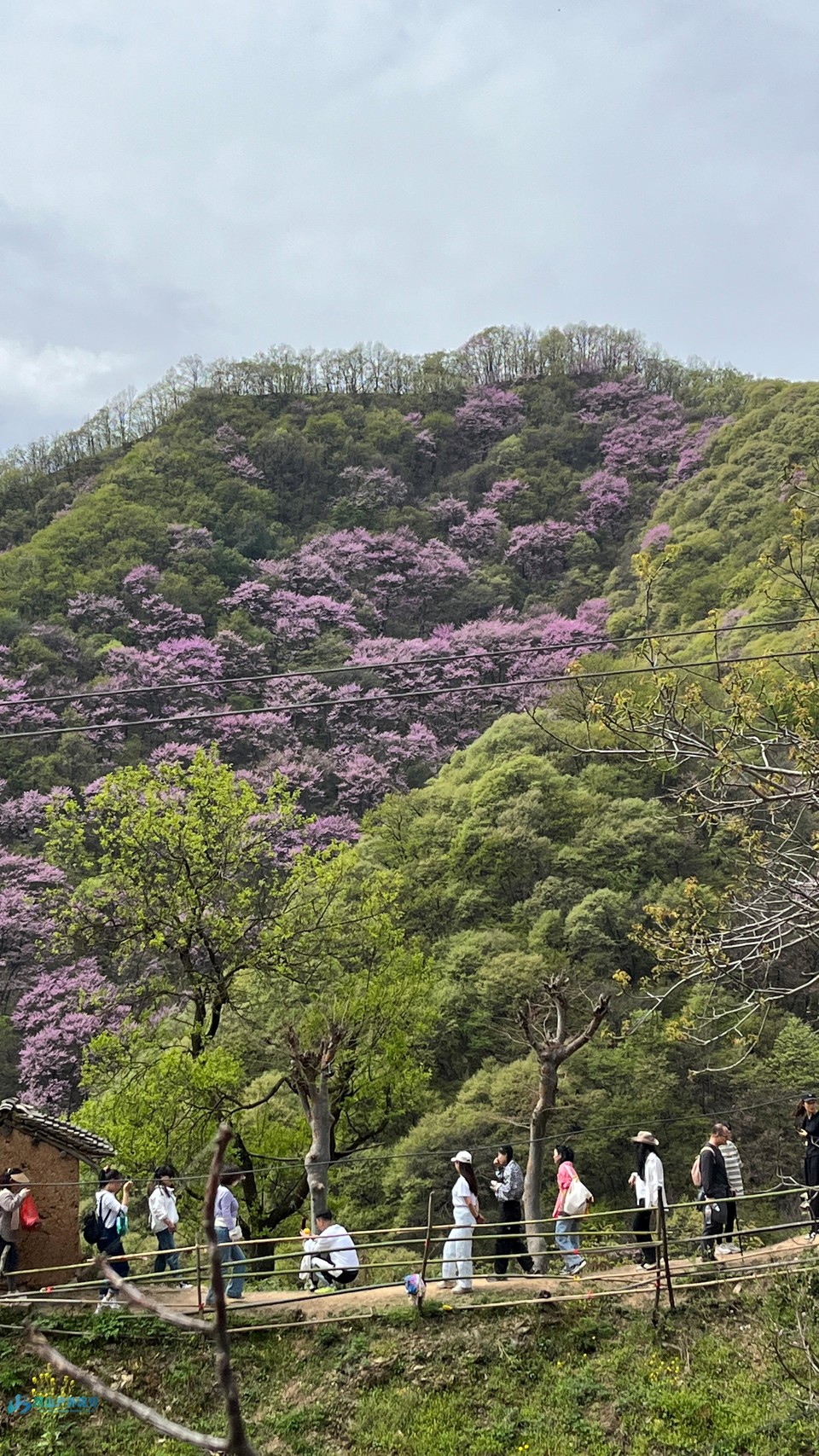 mmexport1713189684866