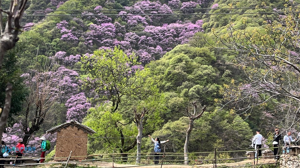 mmexport1713189708906