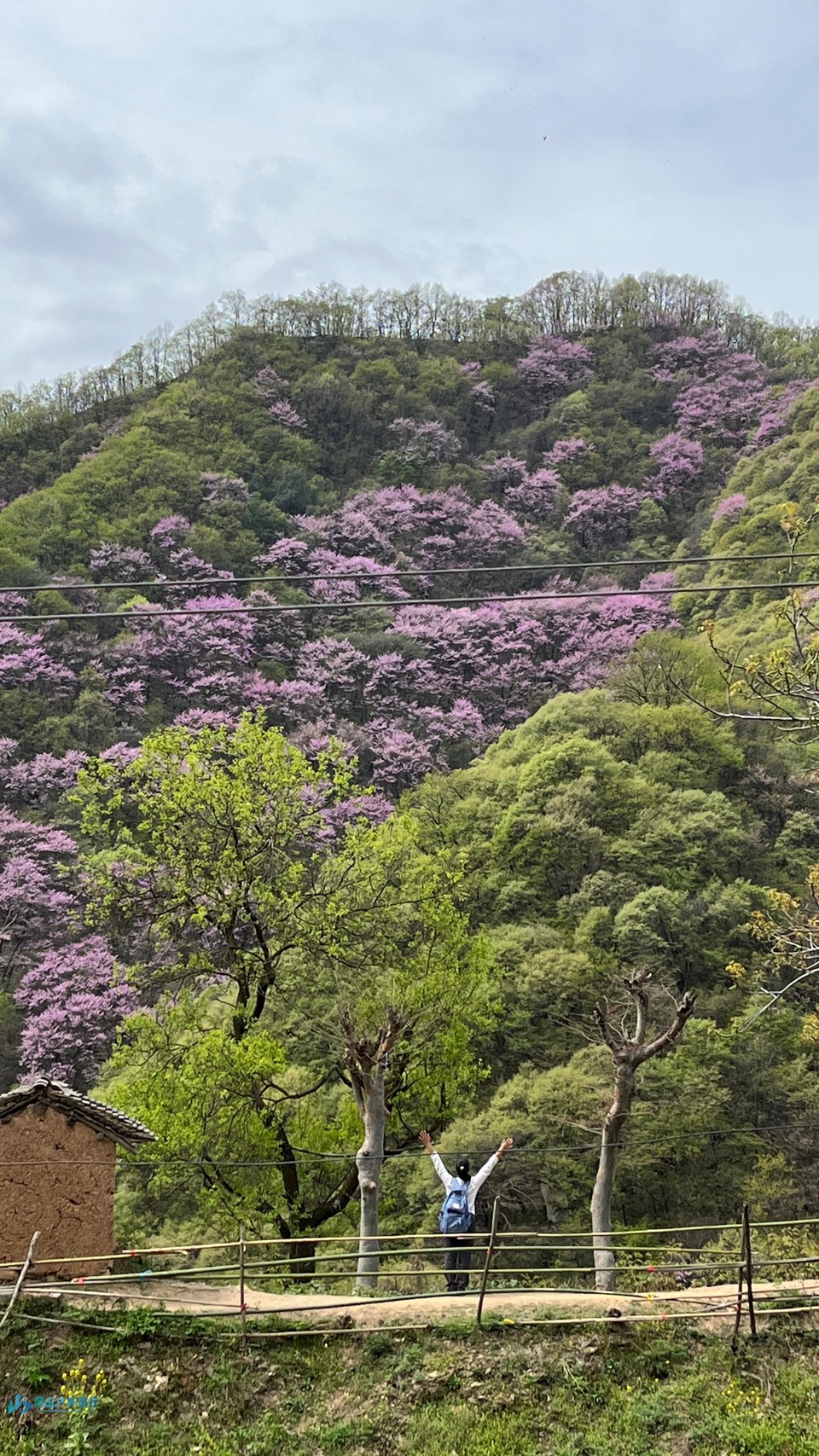 mmexport1713189729866