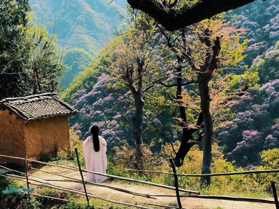 mmexport1713189814330