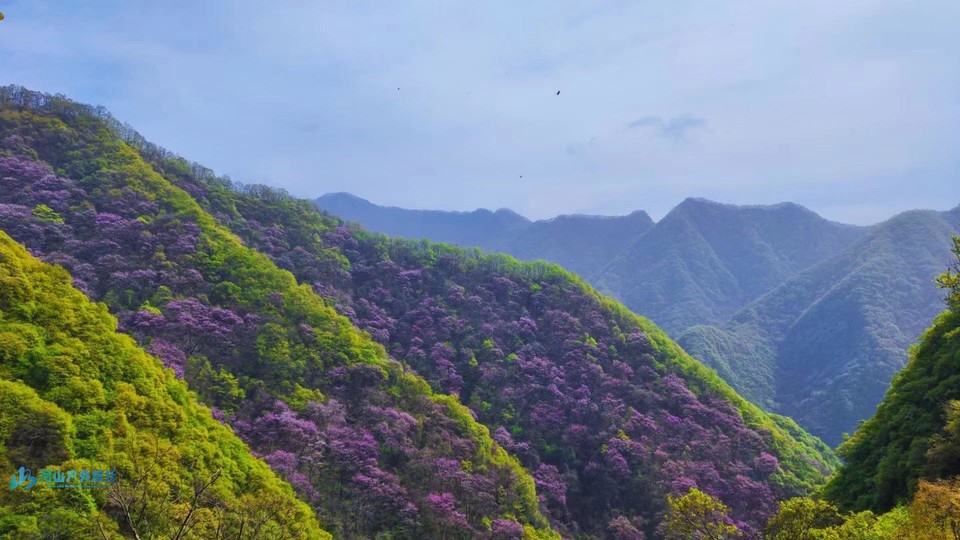 mmexport1713189817427