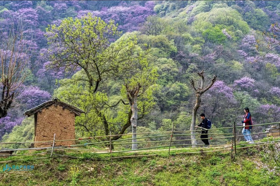 mmexport1713189820548