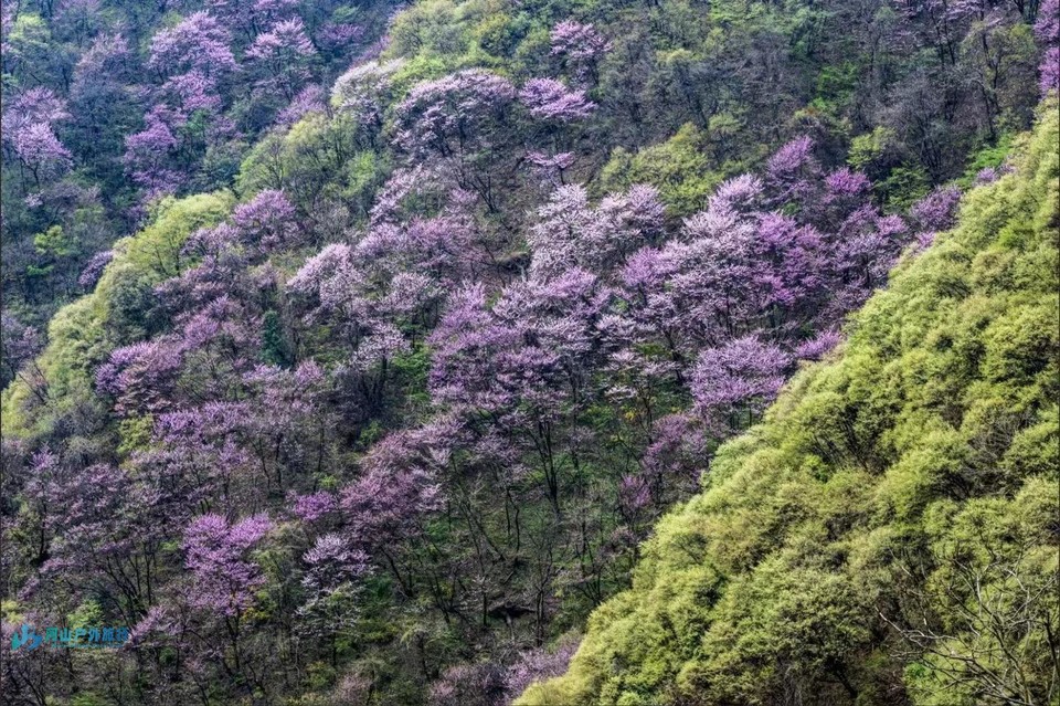 mmexport1713189838273