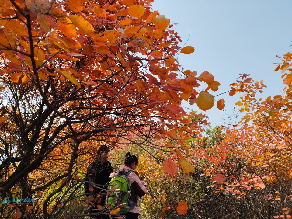 mmexport1731137443385