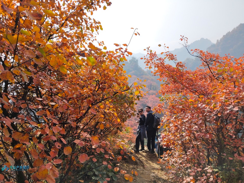 mmexport1731137484936