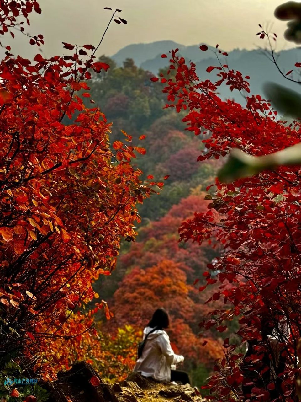 mmexport1731160377560