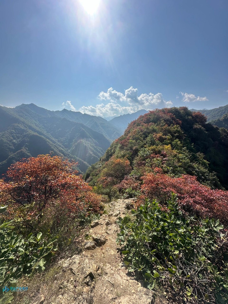 微信图片_20240511213700