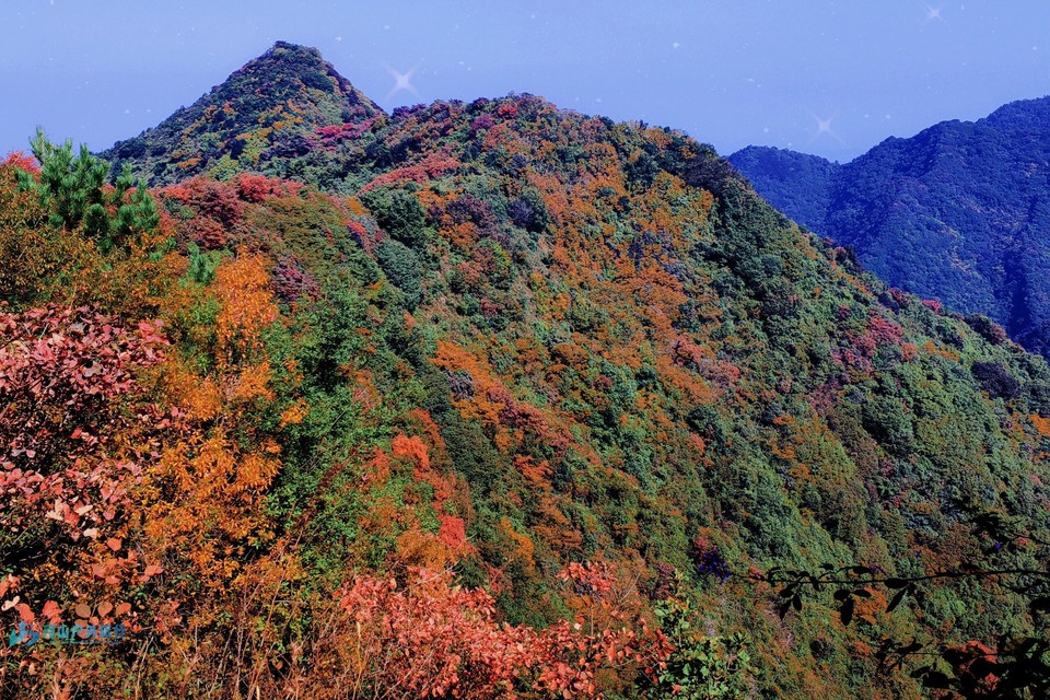 微信图片_20240511213719