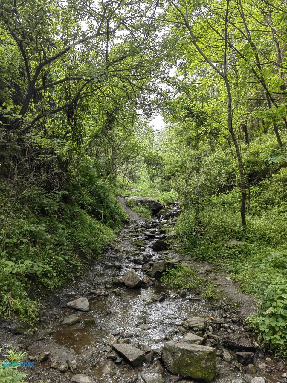 微信图片_20240511213835