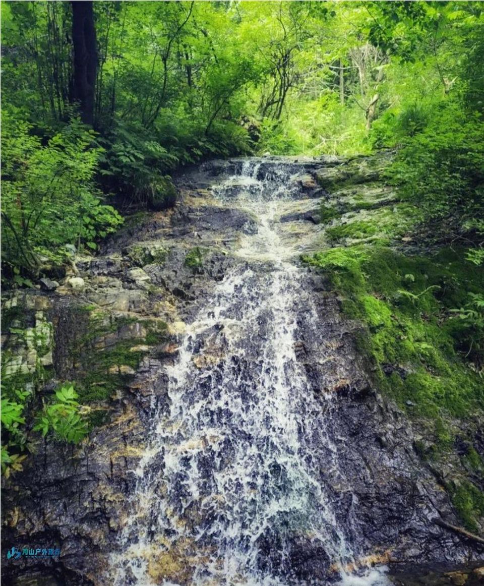 微信截图_20240318002332