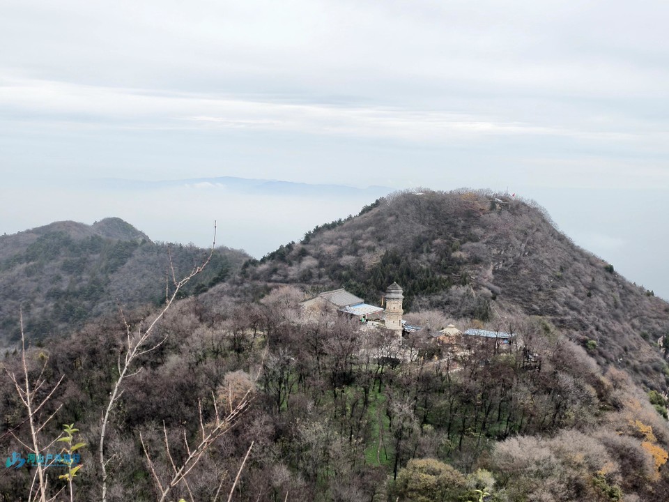 微信图片_20250118130759