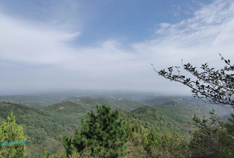 微信图片_20250118130825