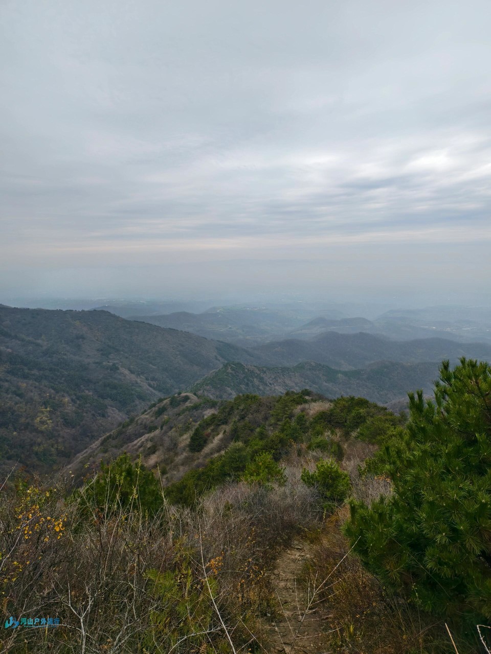 微信图片_20250118130830