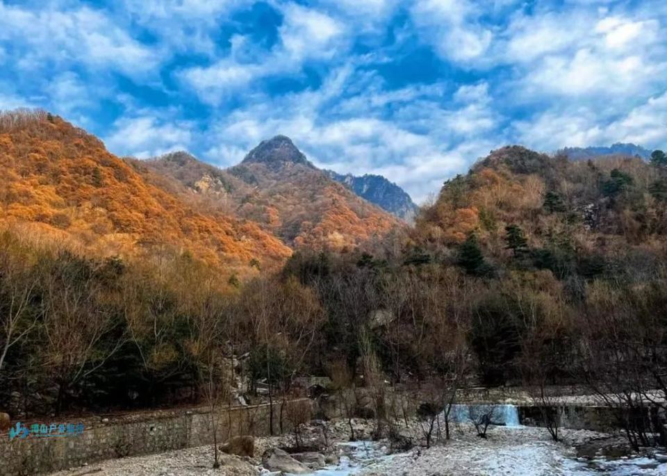 微信截图_20240314191839