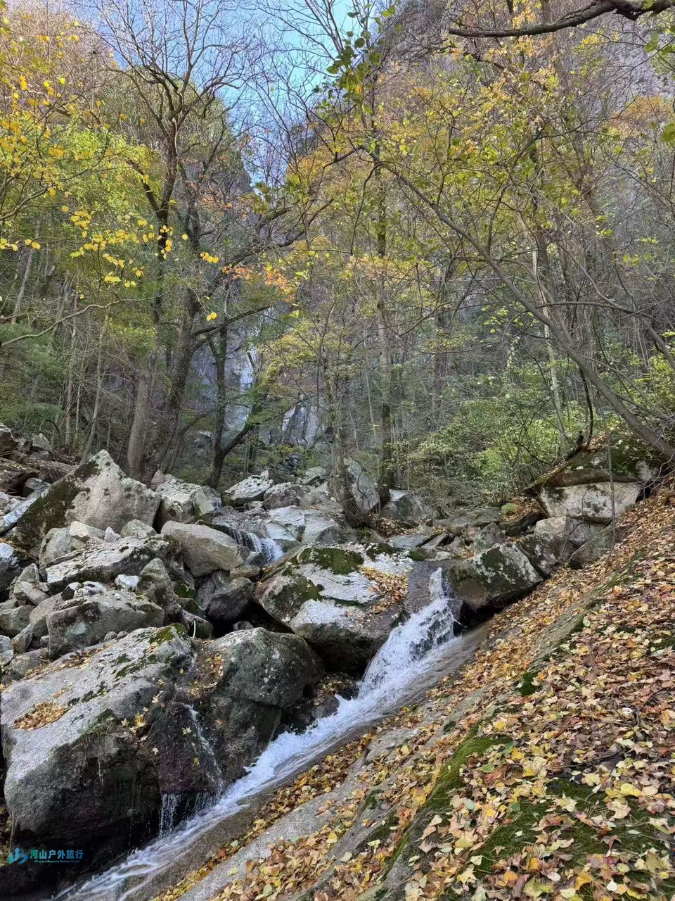 微信图片_20241227144321