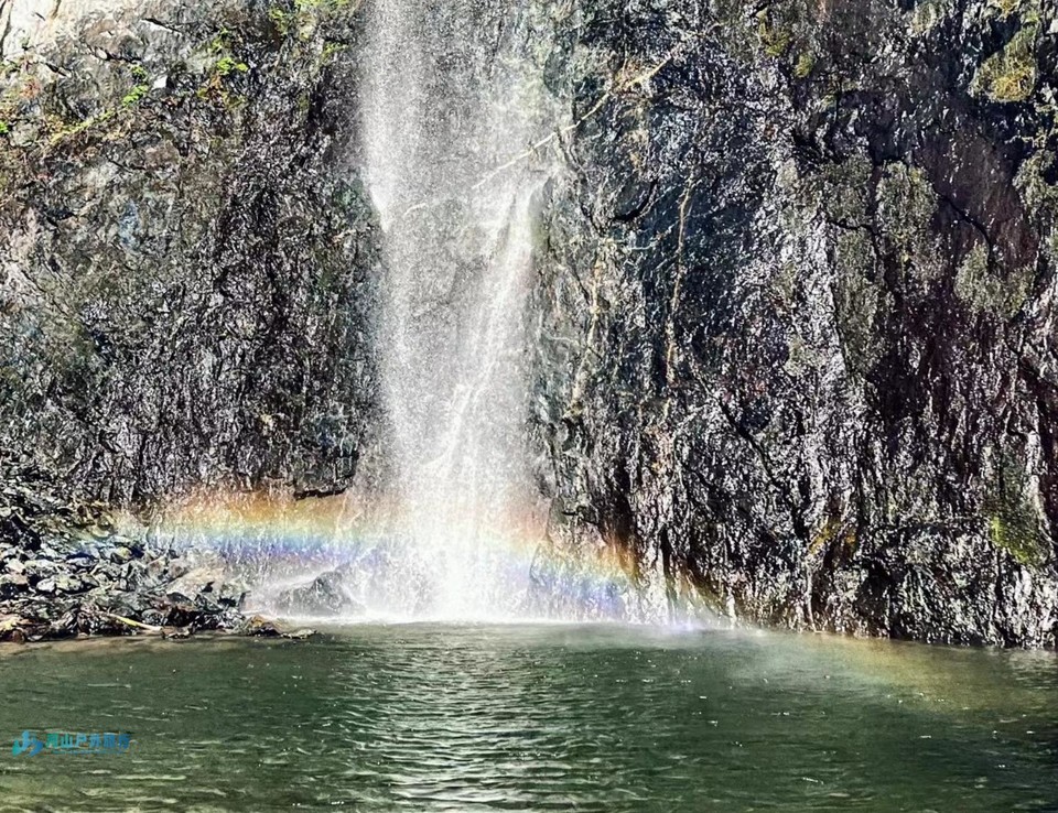 微信截图_20240615001533