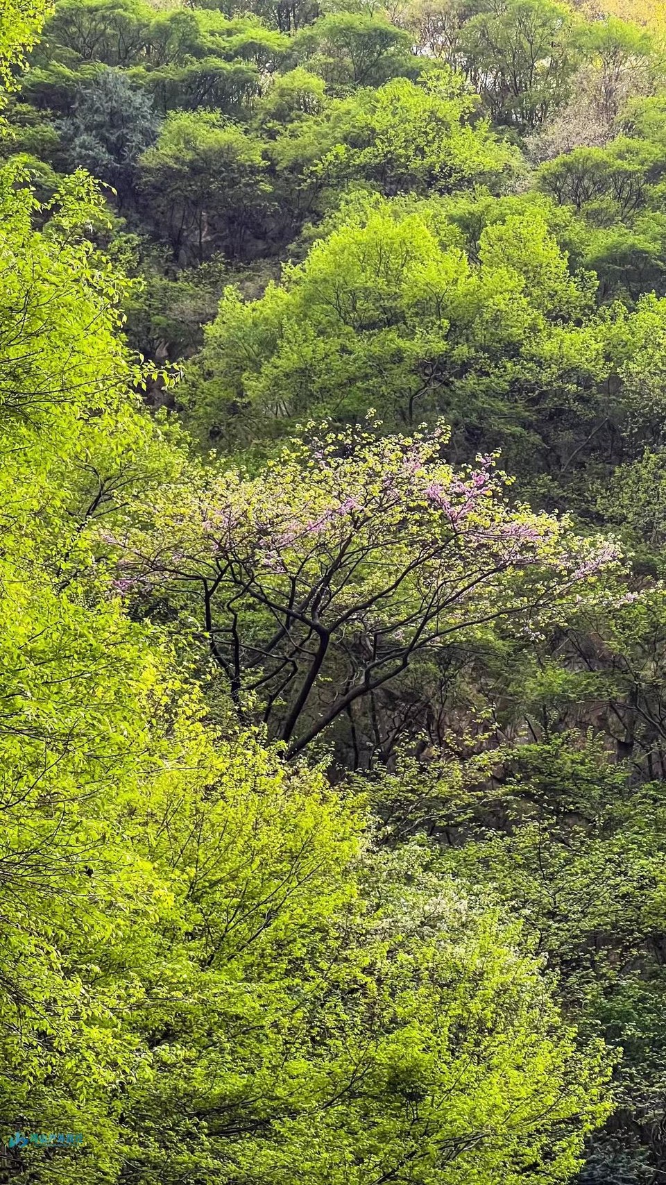 微信图片_20240615001240