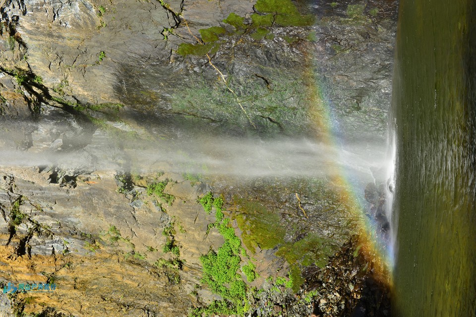 微信图片_20240620125858