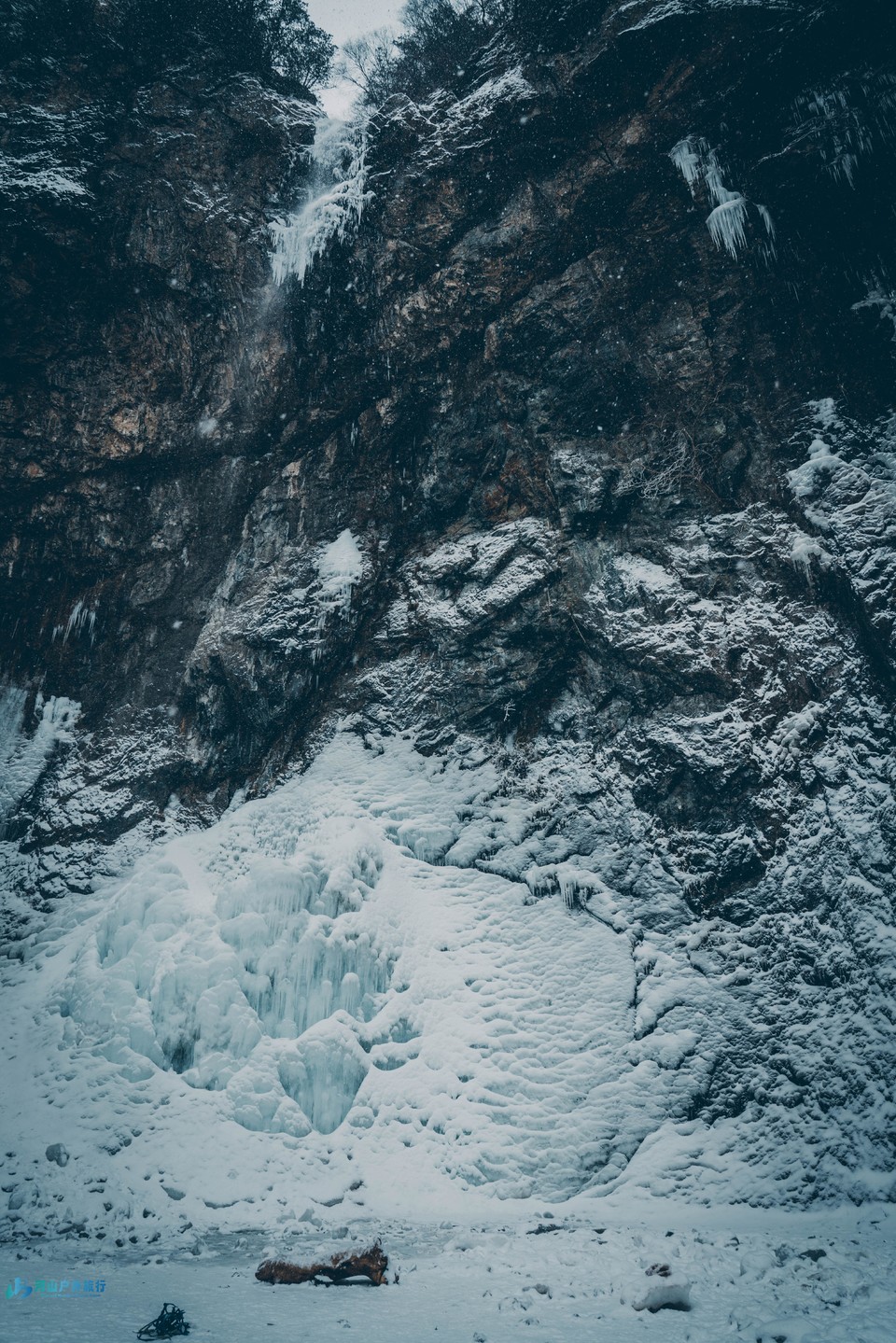 微信图片_20241118165840