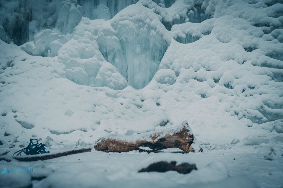 微信图片_20241118165848