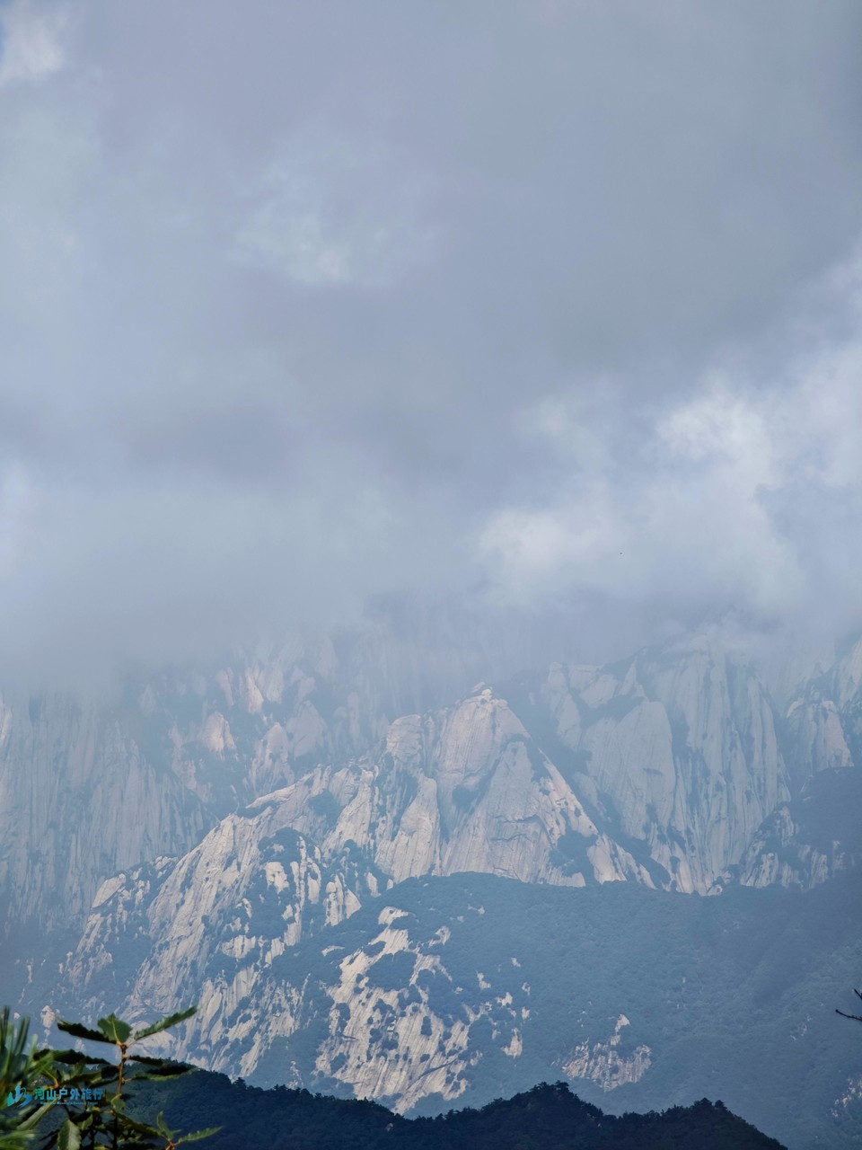 mmexport1722875442004