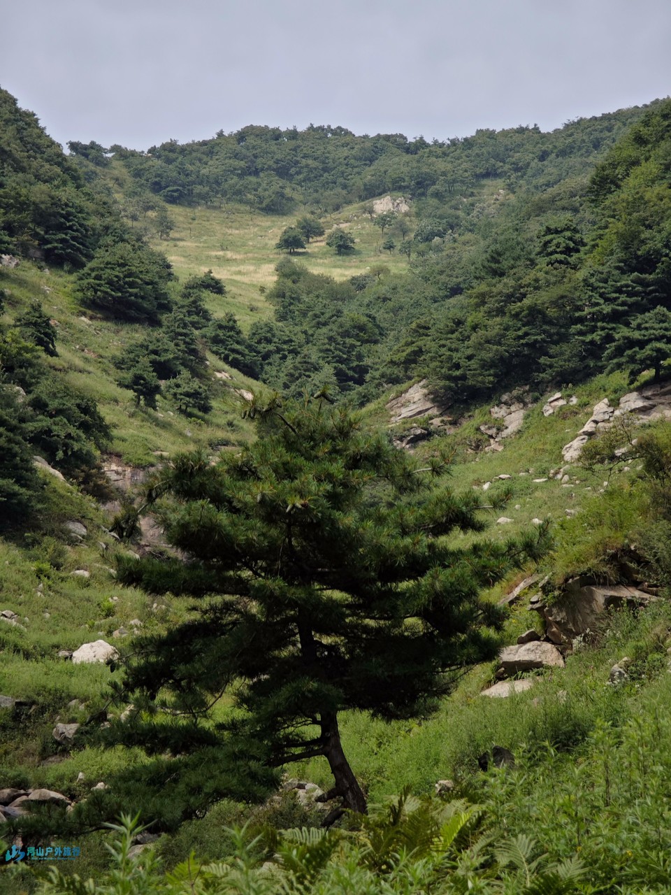 mmexport1722875594147