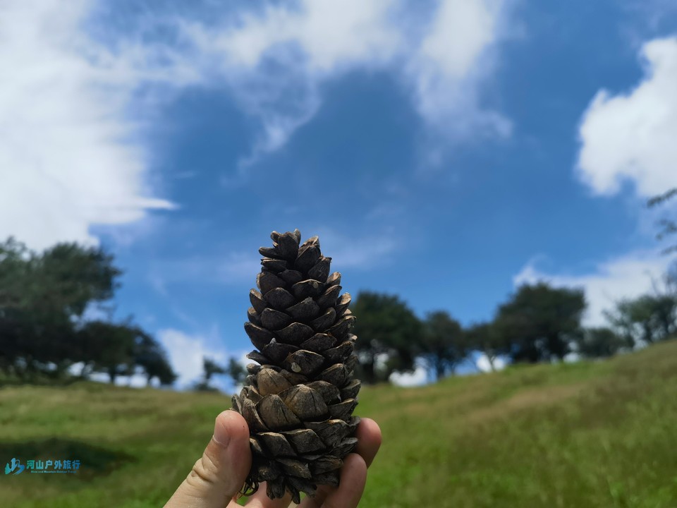 mmexport1722875708051