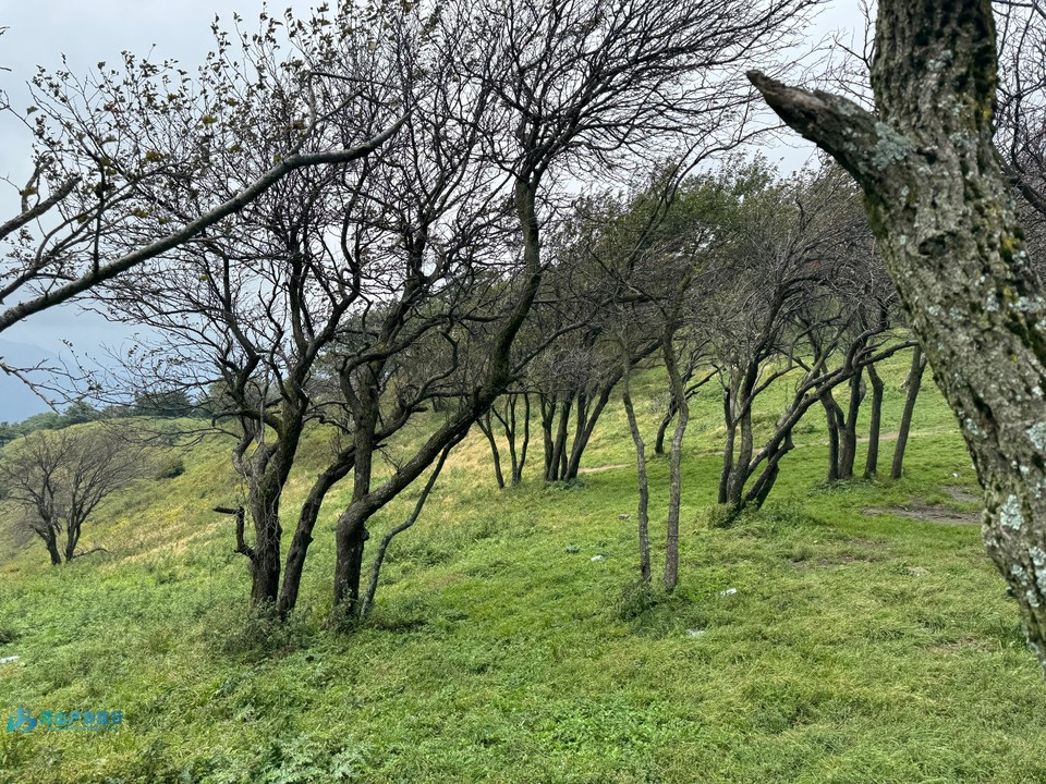 mmexport1725721917718