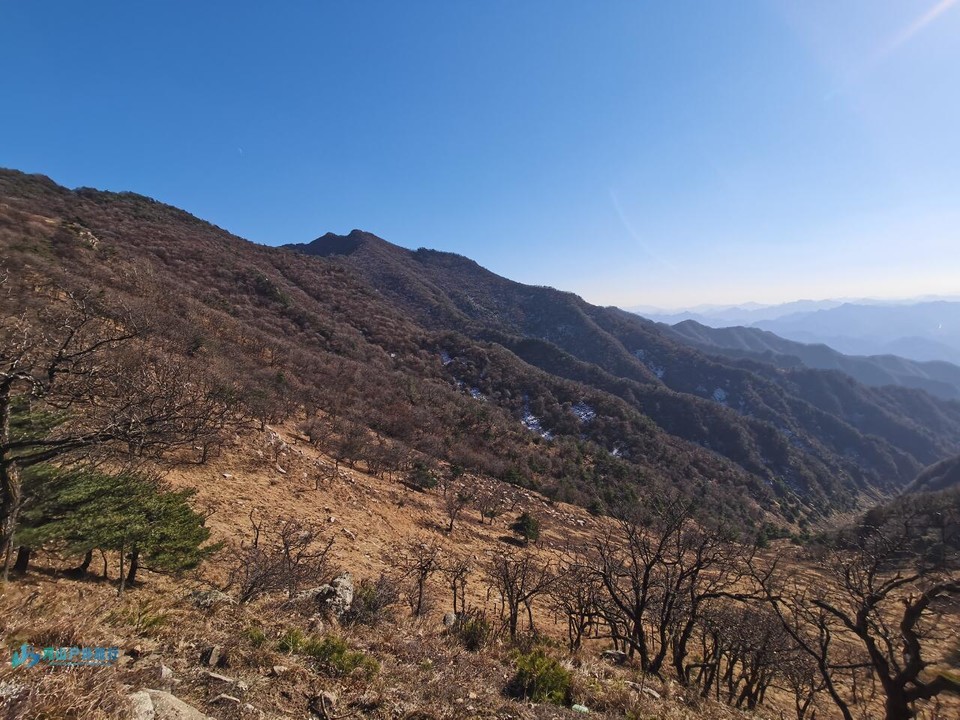 微信图片_20240401222106