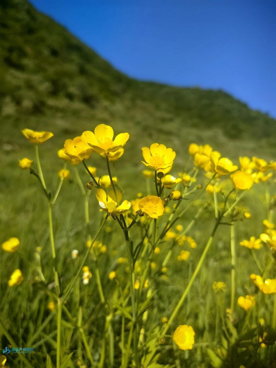 微信图片_20240519172958