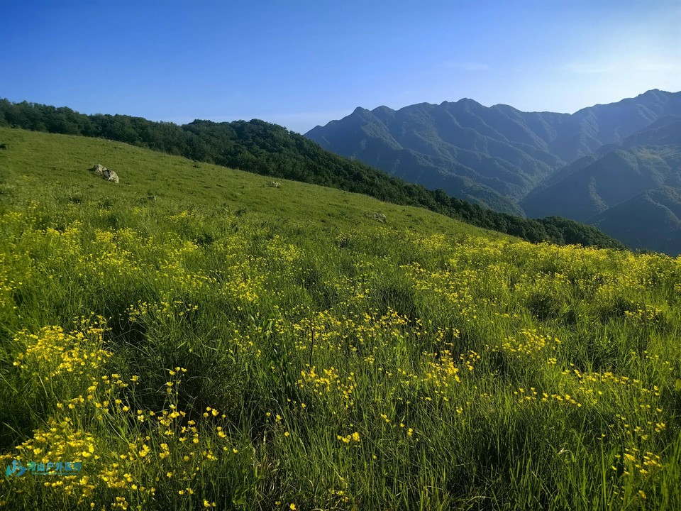 微信图片_20240519172923