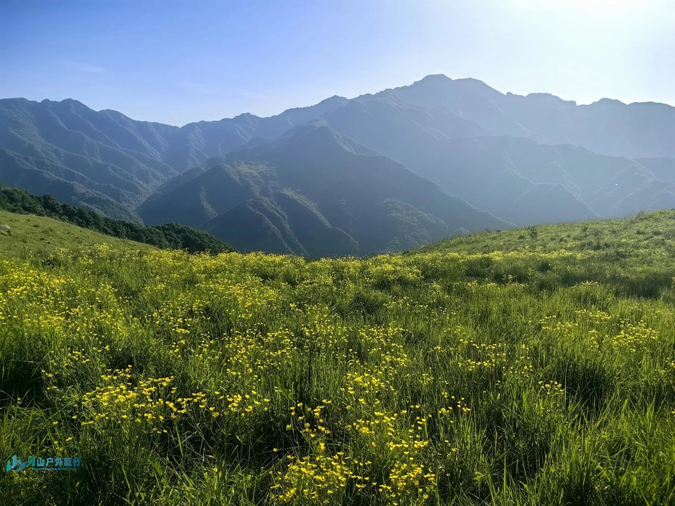 微信图片_20240519173001