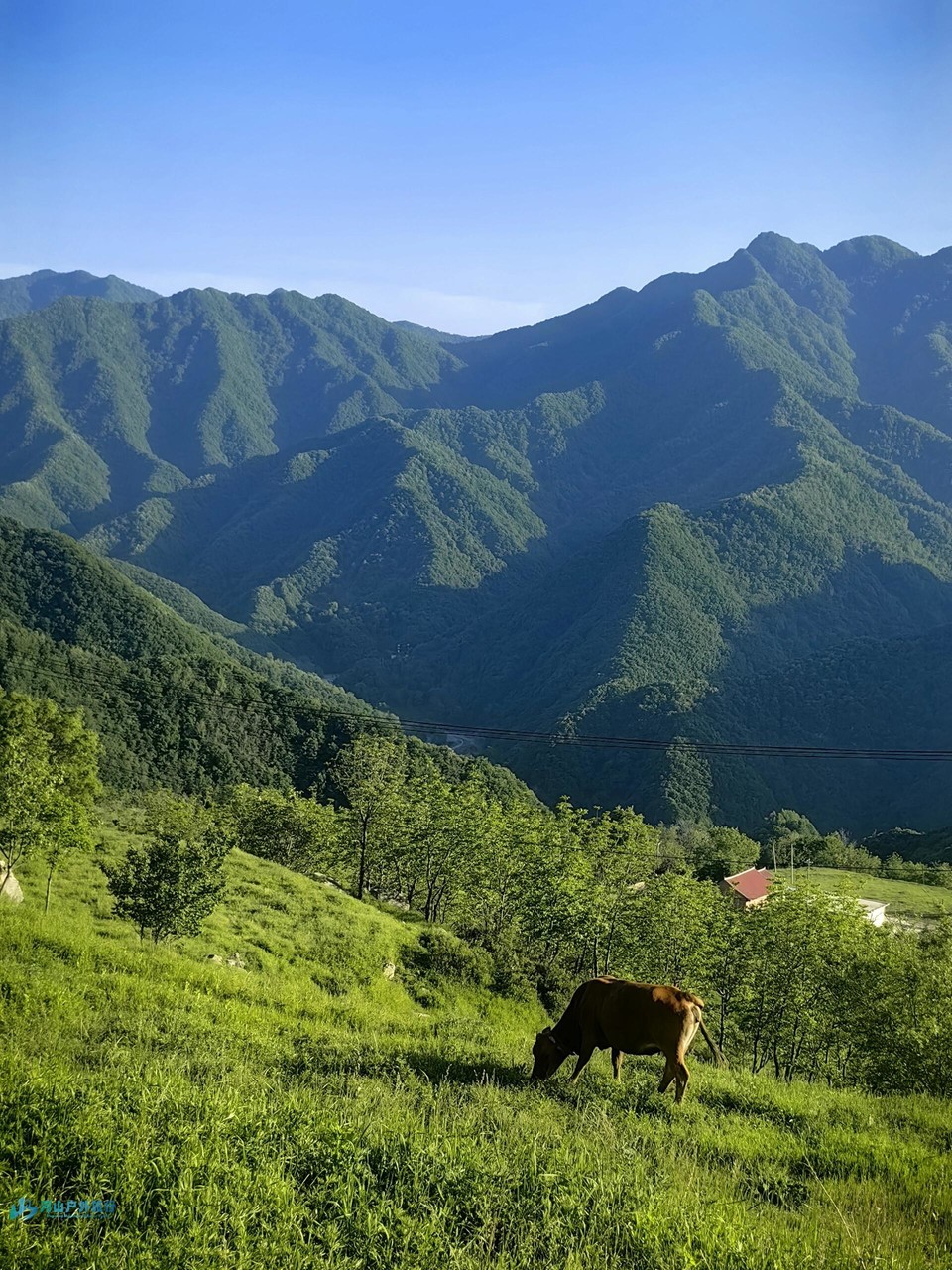 微信图片_20240519173009