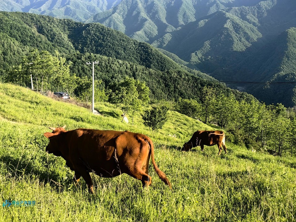 微信图片_20240519173013