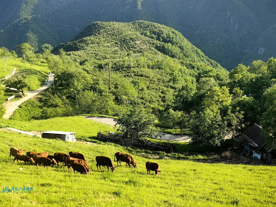 微信图片_20240519173018