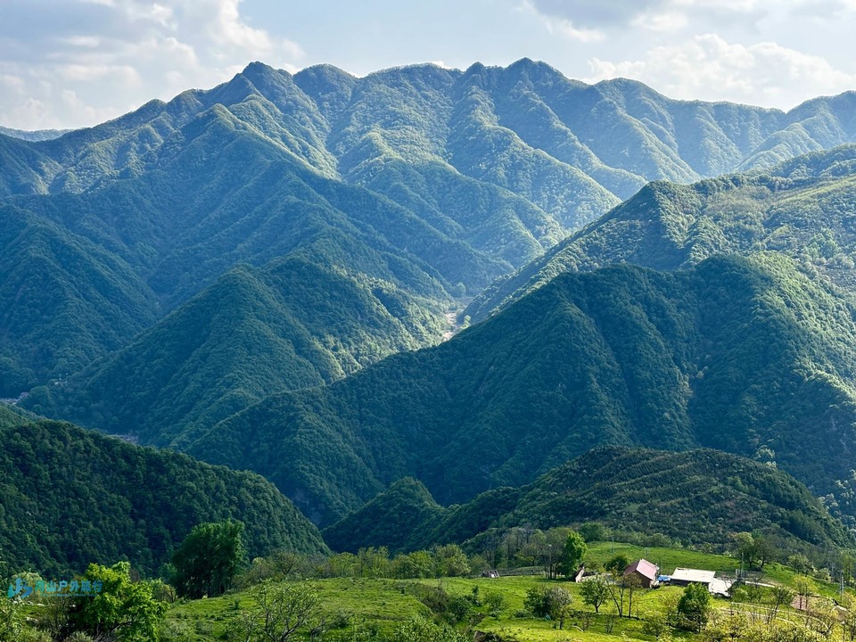 微信图片_20240519173038