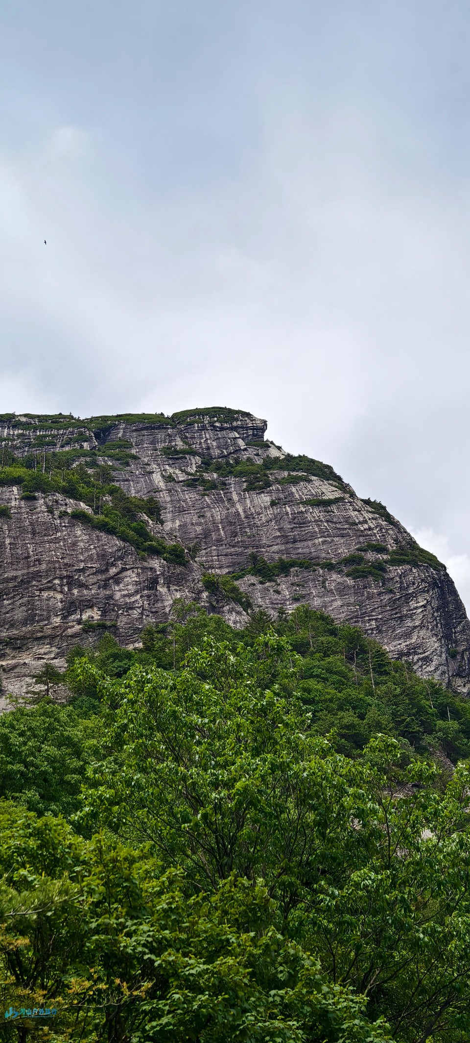 微信图片_20240620124956