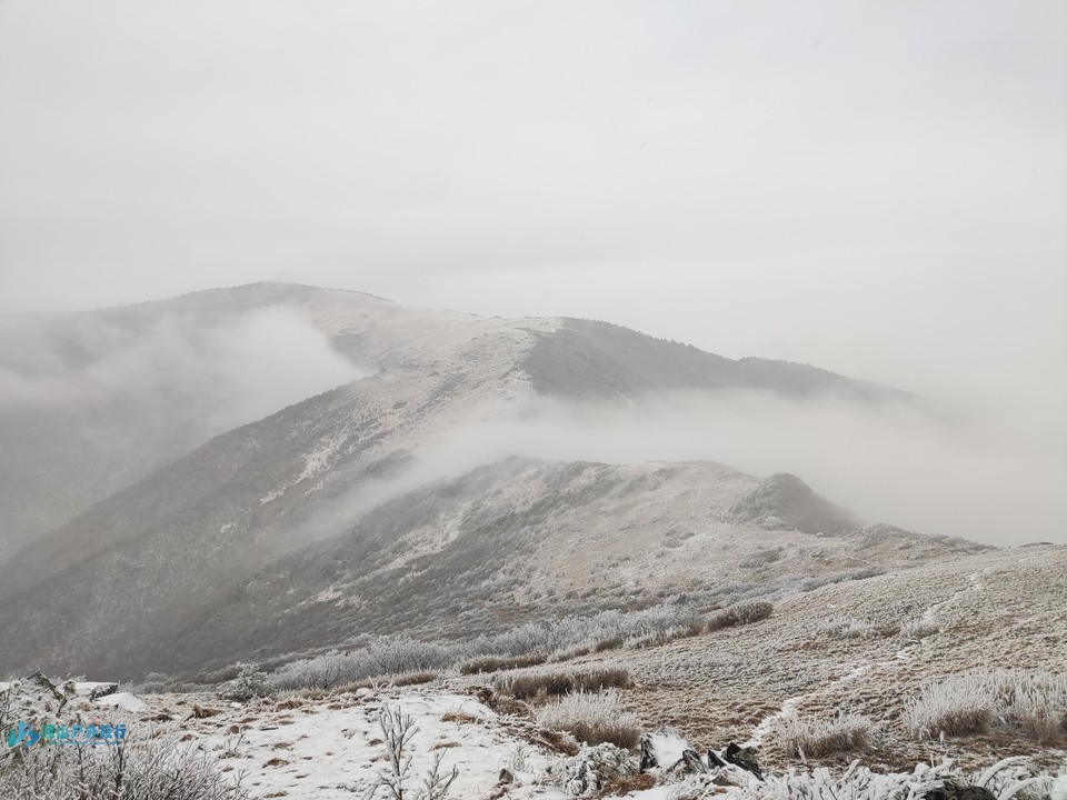 mmexport1705400292781