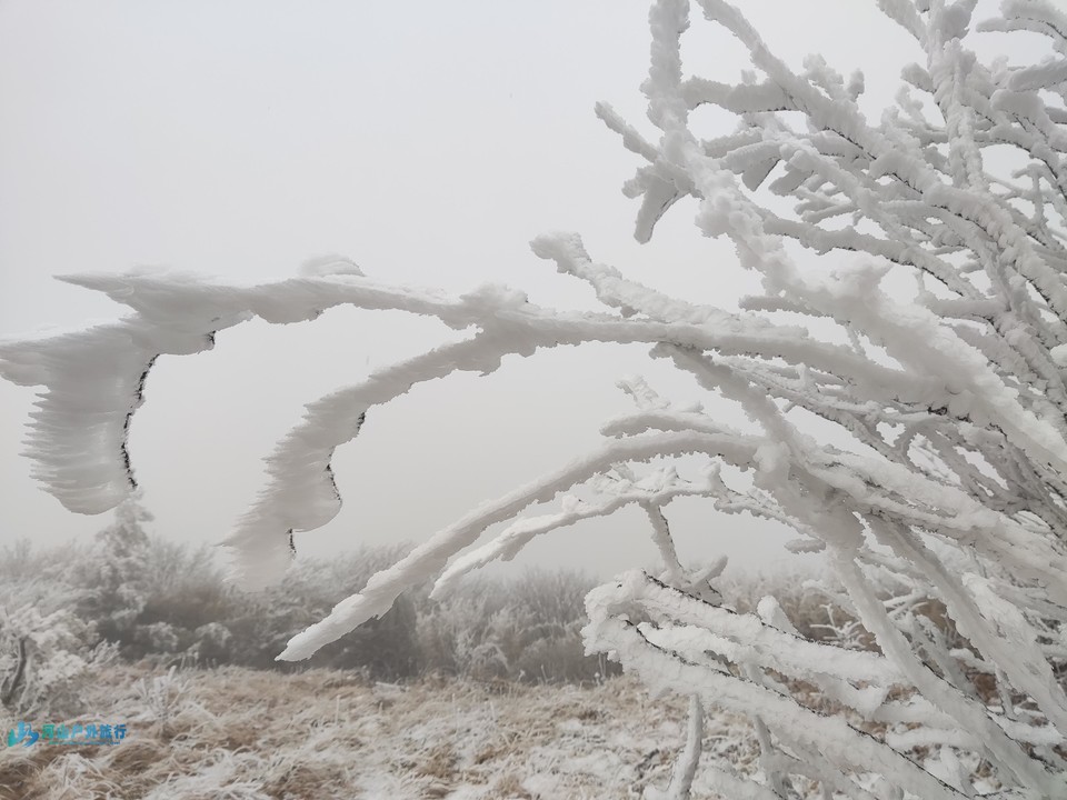 mmexport1705400361941