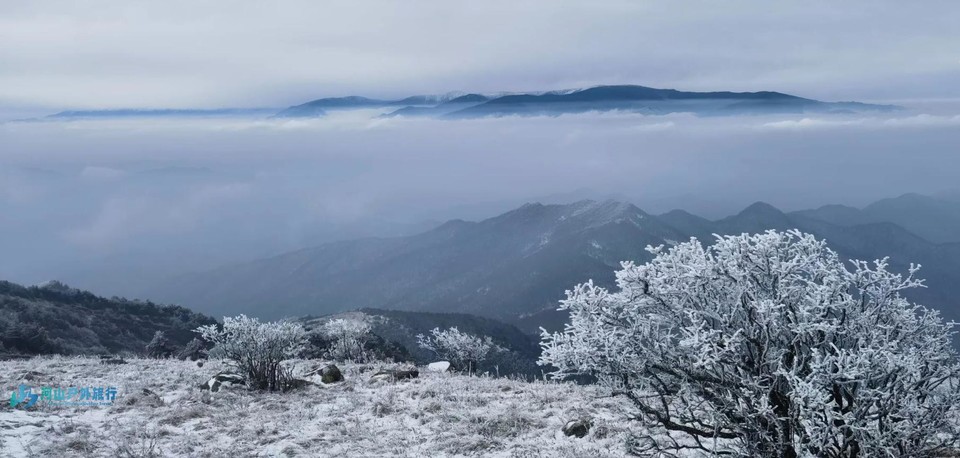 微信截图_20240314234920